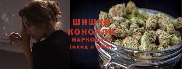 стаф Абдулино