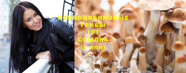 амф Абинск
