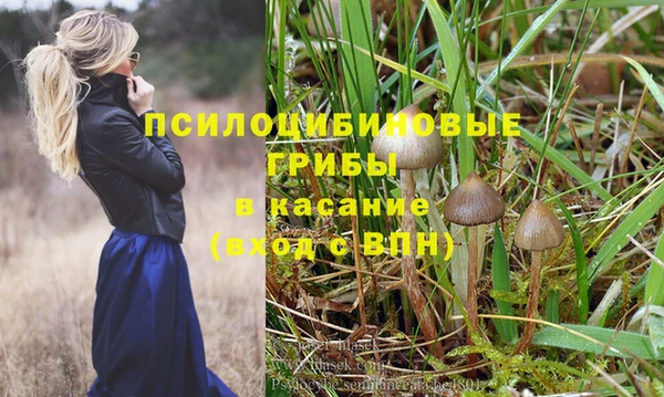 стаф Абдулино