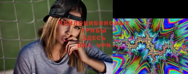 стаф Абдулино