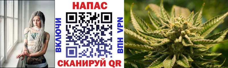 как найти наркотики  Вилючинск  Конопля Amnesia 